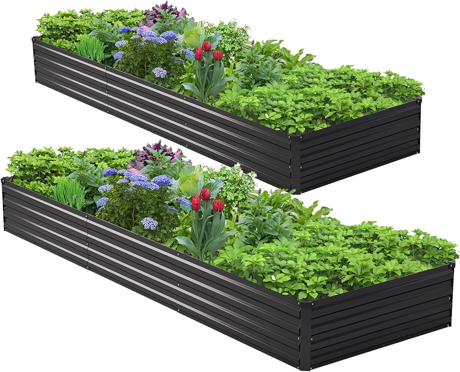 Raised Garden Bed - 2PCS 10x3x1ft Galvanized Raised Garden Bed