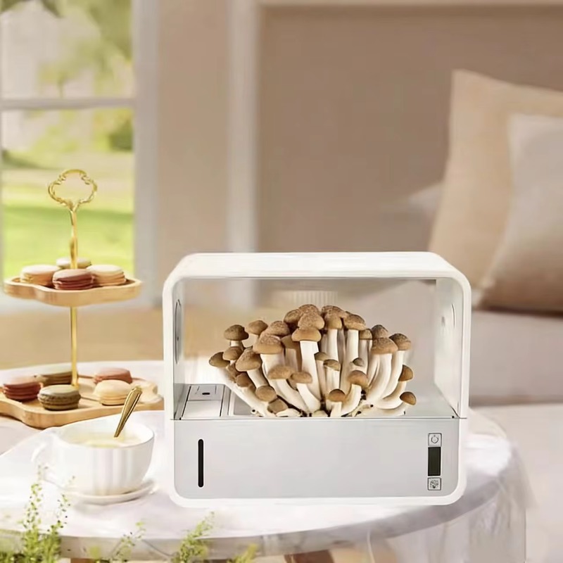 HydroBlue Desktop Mushroom Far - огляд і ціна Hydroponic Kit