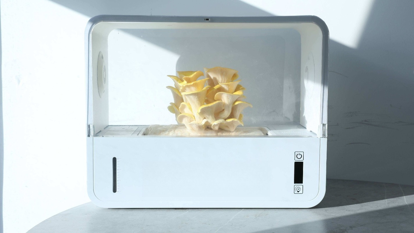 HydroBlue Desktop Mushroom Far - огляд і ціна Hydroponic Kit