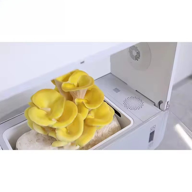 HydroBlue Desktop Mushroom Far - огляд і ціна Hydroponic Kit