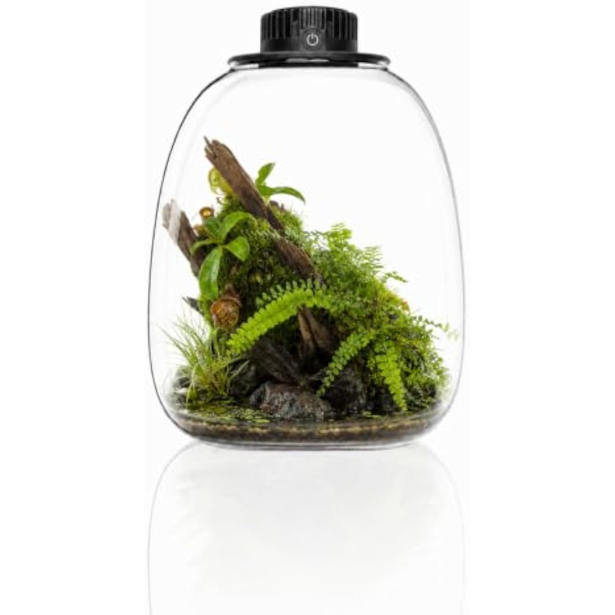 Round Bio Bottle Terrarium wit - огляд і ціна Grow Light Led