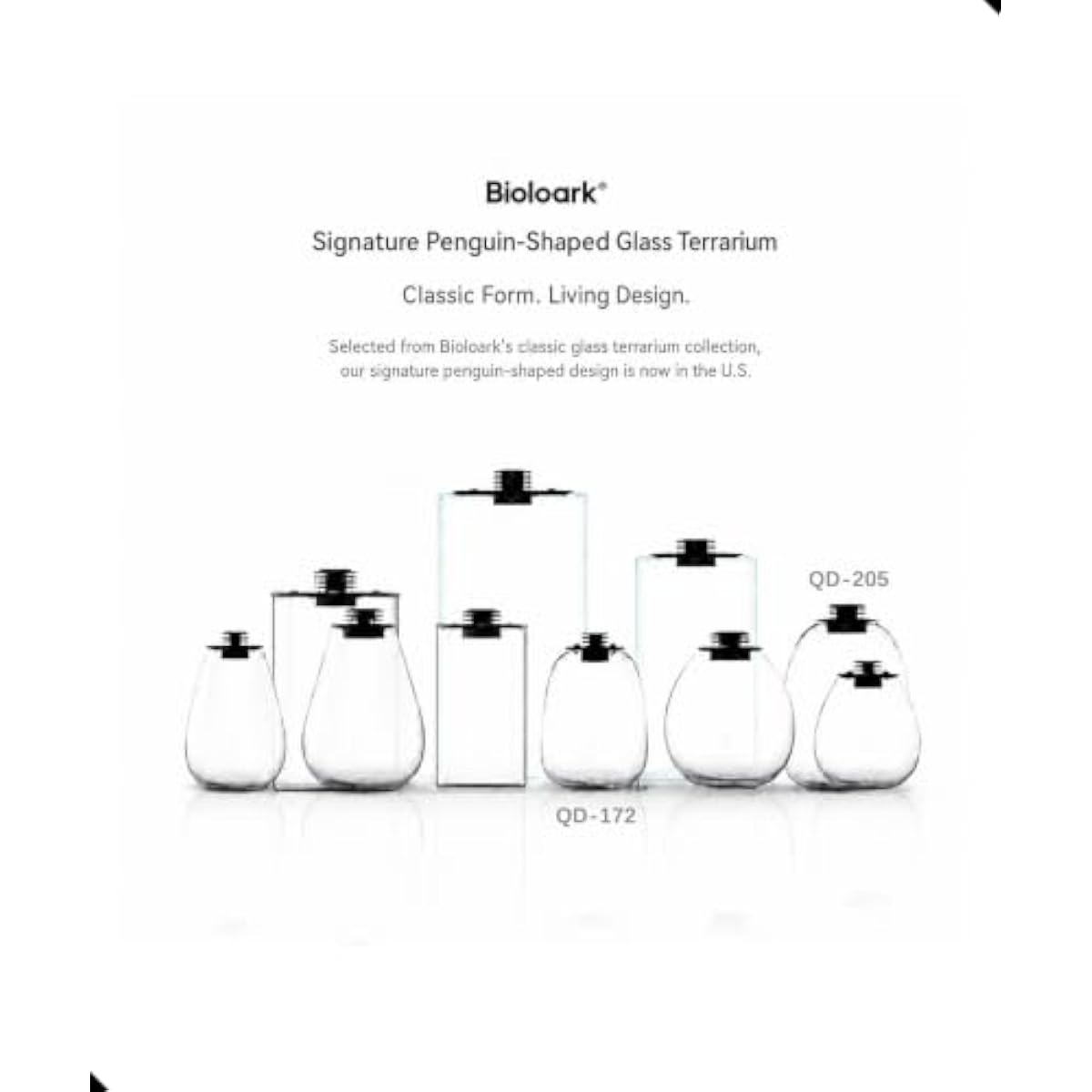 Round Bio Bottle Terrarium wit - огляд і ціна Grow Light Led