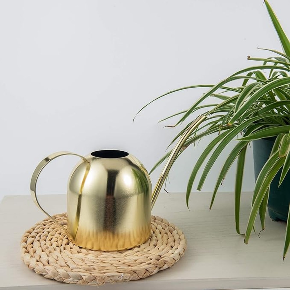 Brass Watering Can Indoor Plan - огляд і ціна Watering Can