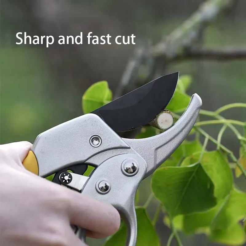 EE1 for Hot Selling High Carbo - огляд і ціна Pruning Shears