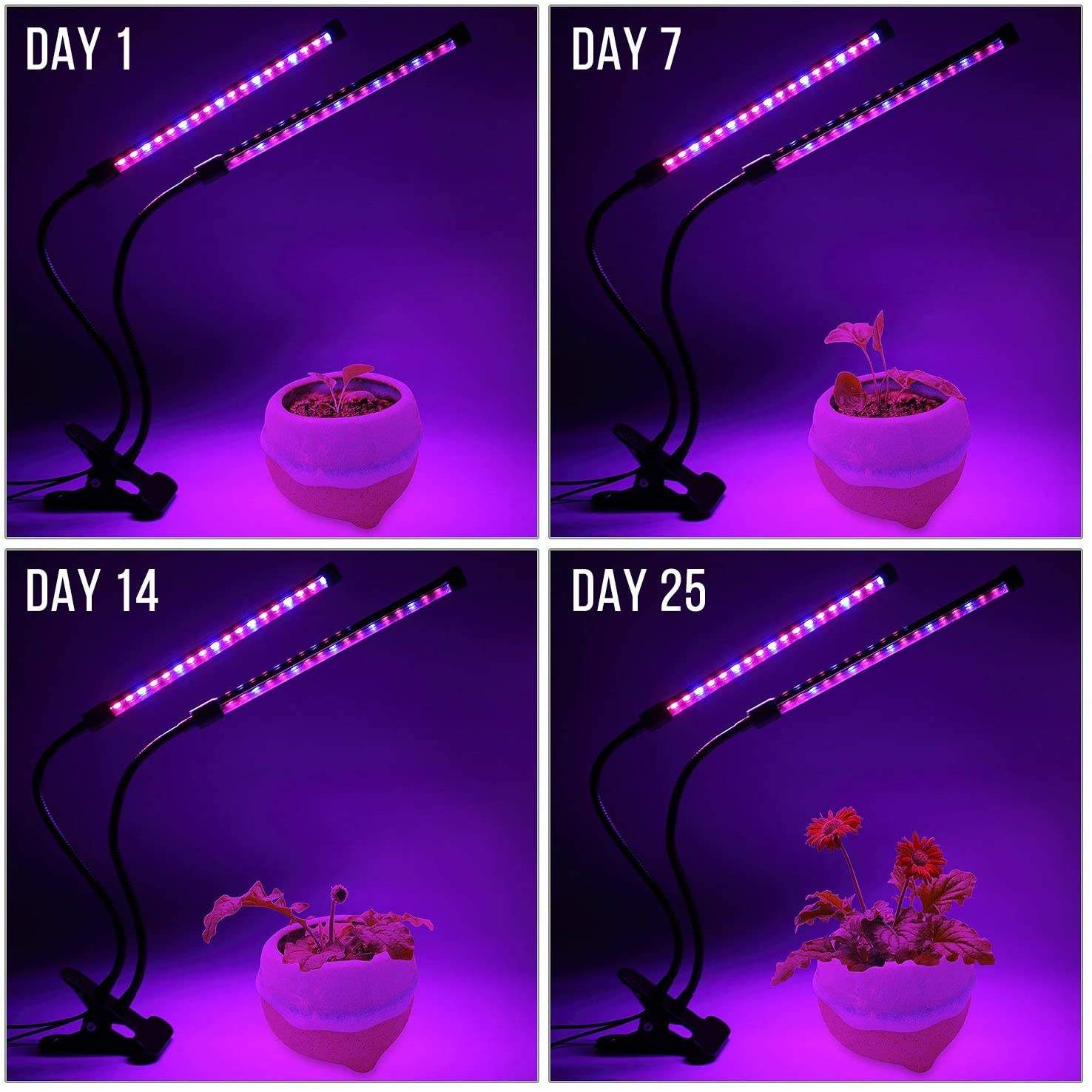USB LED Plant Grow Light Indoo - огляд і ціна Indoor Herb Garden