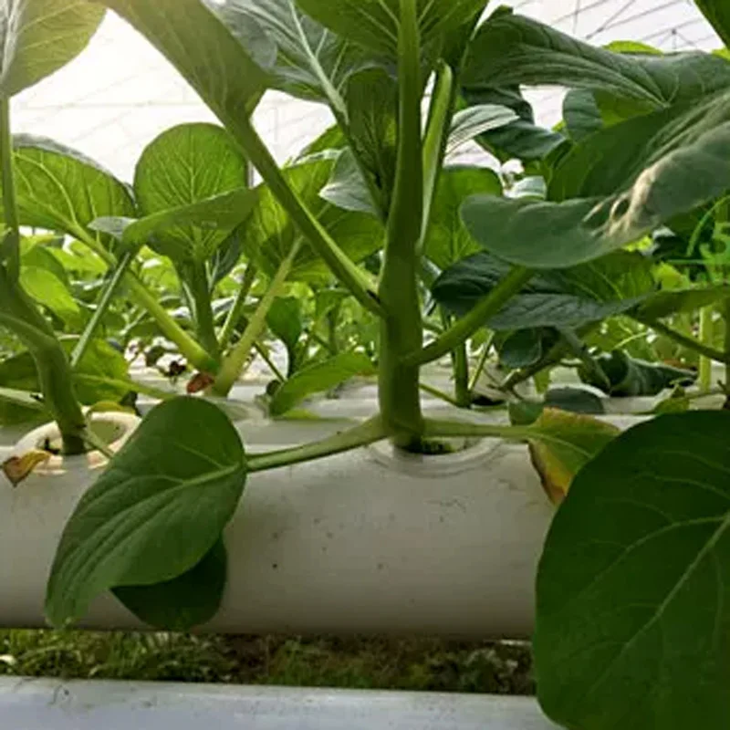 Soilless Growing System Kit, P - огляд і ціна Hydroponic Kit