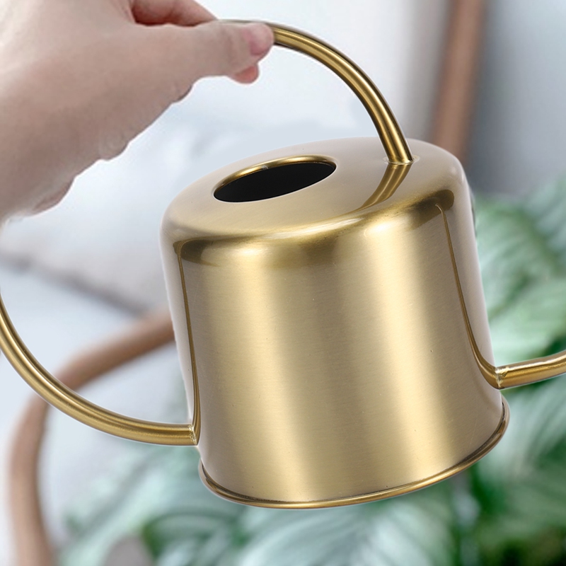 RALCA-Watering Can Golden Gard - огляд і ціна Watering Can
