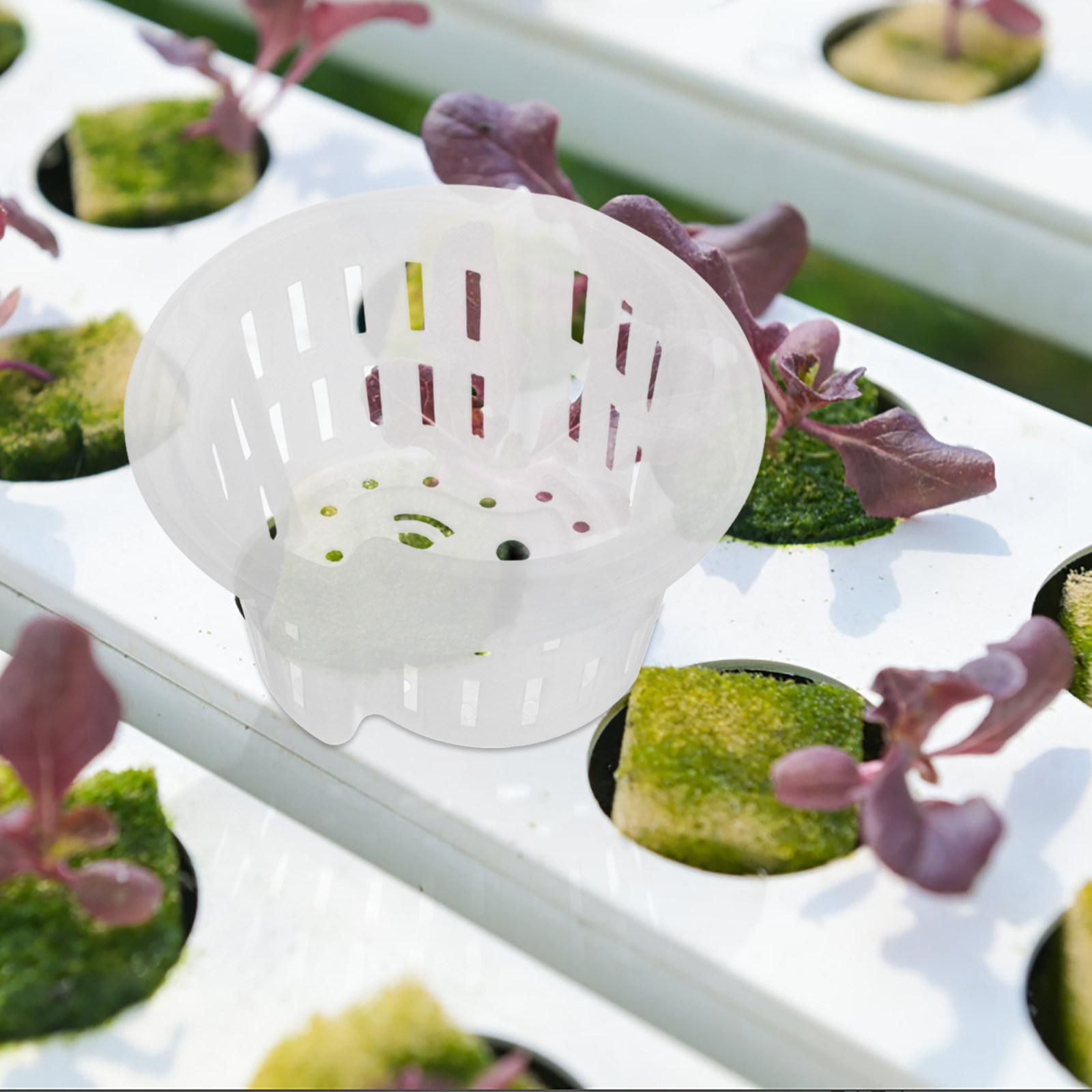 4Pcs Hydroponic Planting Net P - огляд і ціна Plant Pot
