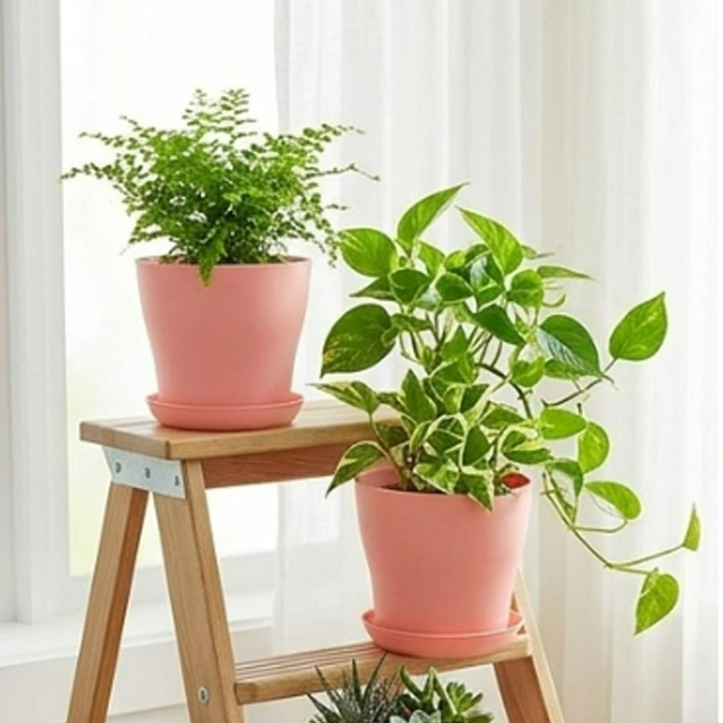 Plant Pot Set with Drainage Ho - огляд і ціна Indoor Herb Garden